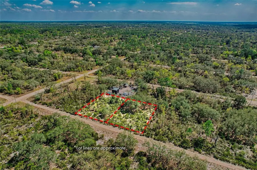 000 NE 68th Place, Williston, FL 32696 - #3