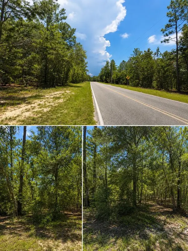 507 & 509 Baden Powell Road, HAWTHORNE, FL 32640