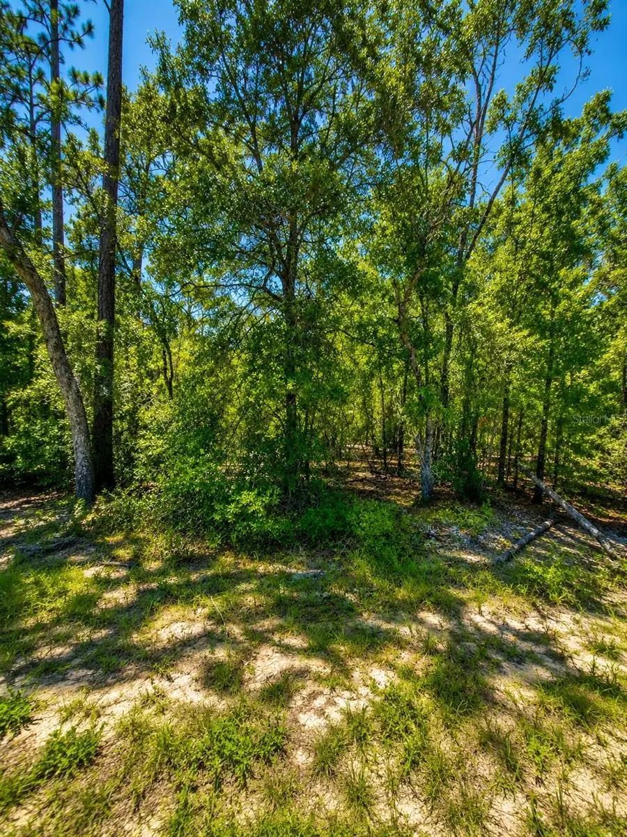 507 & 509 Baden Powell Road, Hawthorne, FL 32640 - #2
