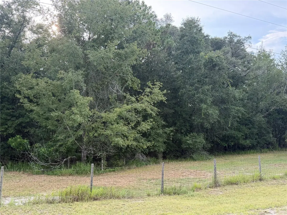 Ne 32 Place, High Springs, FL 32643 - #1