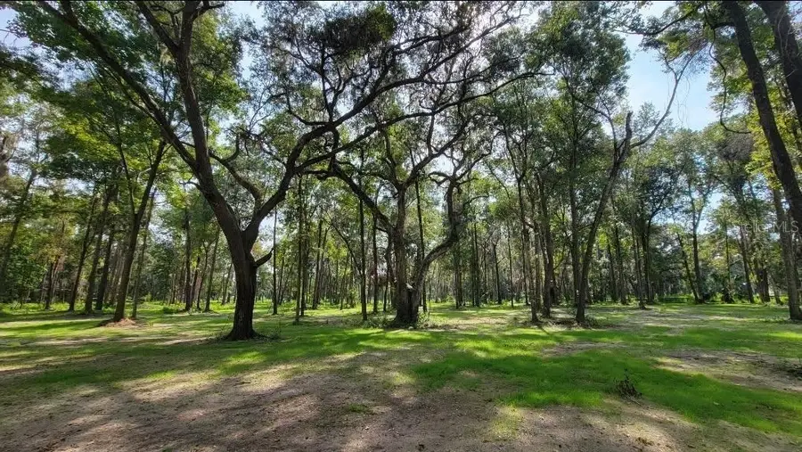 16545 NW 128th Terrace #Lot 37, Reddick, FL 32686 - #2