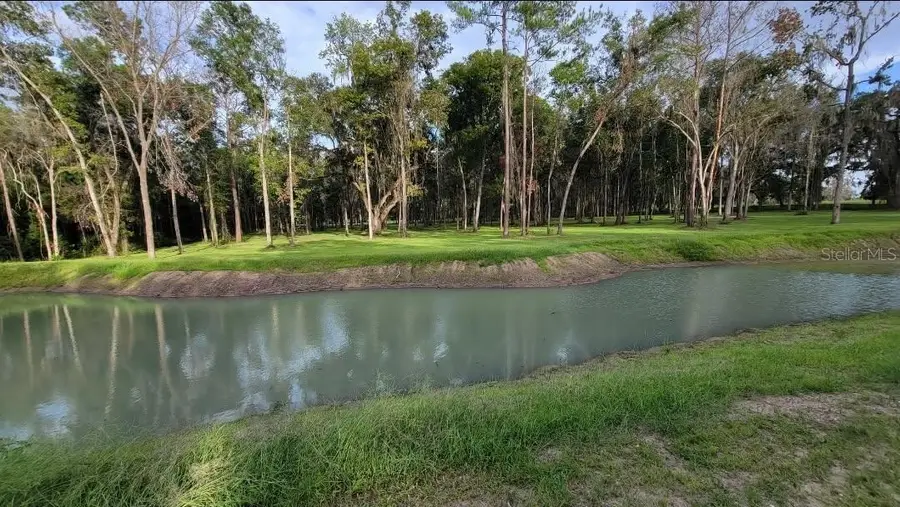 16545 NW 128th Terrace #Lot 37, Reddick, FL 32686 - #3