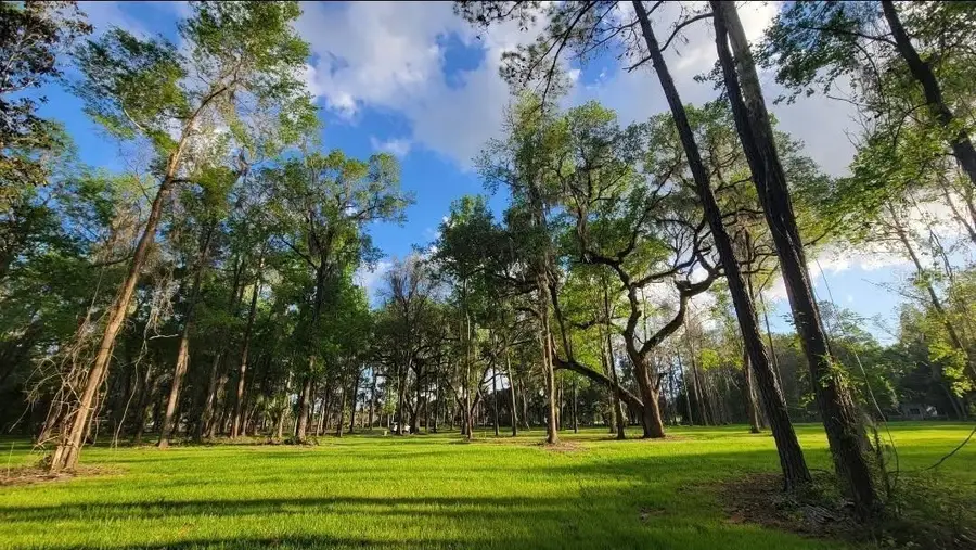 NW 128th Terrace #Lot 36, Reddick, FL 32686 - #3