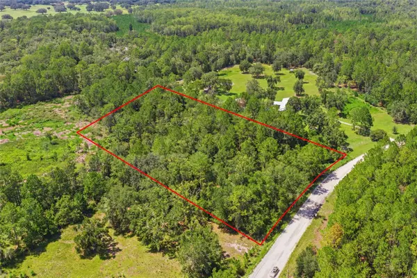 Deep Wood Drive, TRENTON, FL 32693