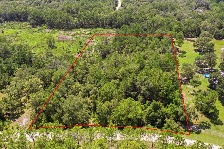 Deep Wood Drive, Trenton, FL 32693 - #2