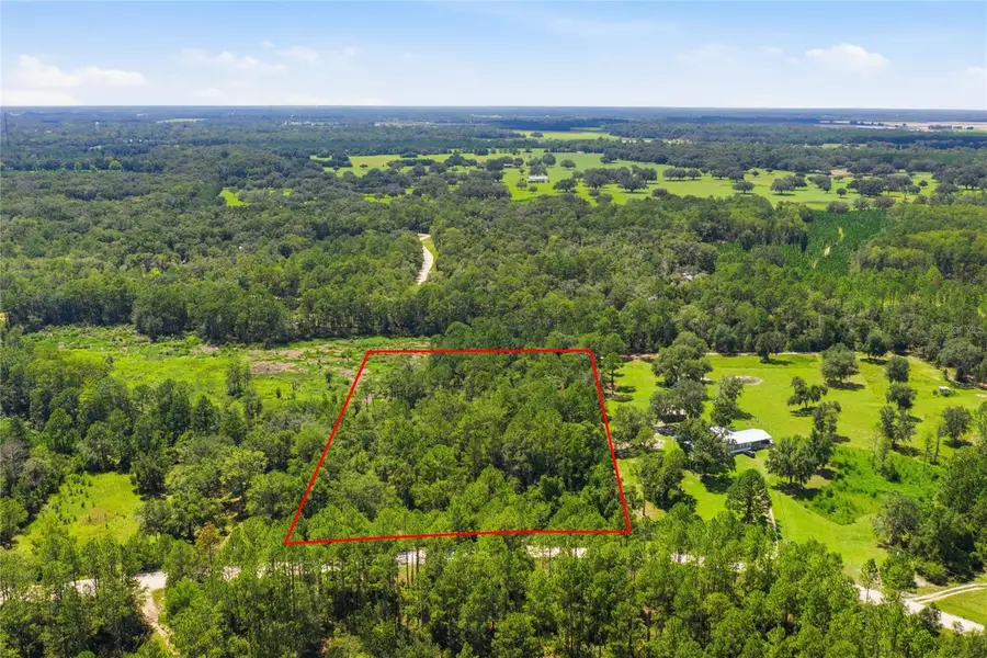 Deep Wood Drive, Trenton, FL 32693 - #3