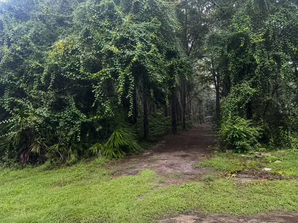 TBD NW 167th Place, TRENTON, FL 32693