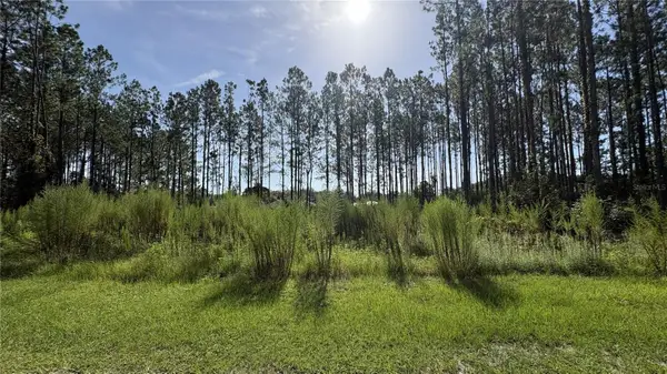 TBD NW 130th Avenue, HIGH SPRINGS, FL 32643