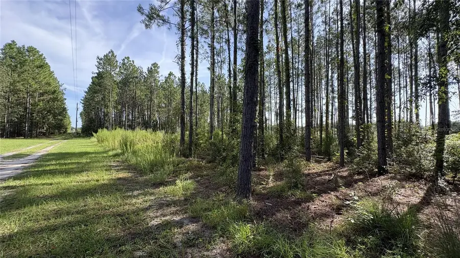 TBD NW 130th Avenue, High Springs, FL 32643 - #2
