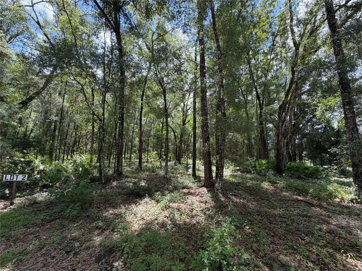 TBD SW 170th Street, Archer, FL 32618 - #1