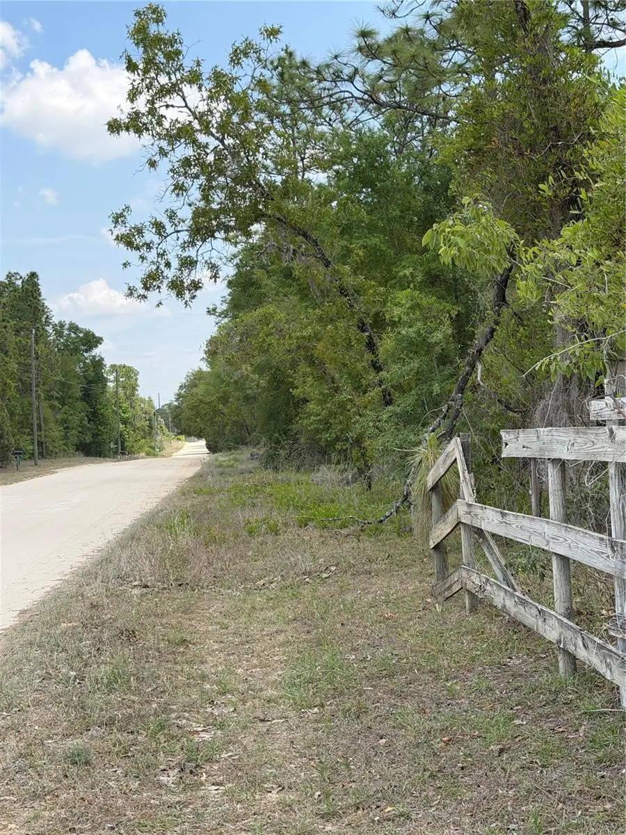NE 110th Avenue, Bronson, FL 32621 - #1