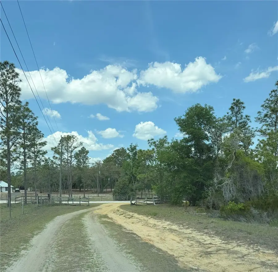 NE 110th Avenue, Bronson, FL 32621 - #2