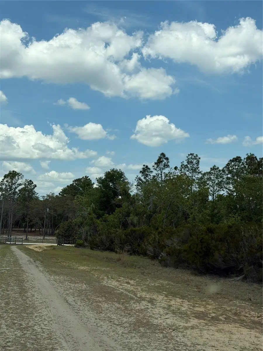 NE 110th Avenue, Bronson, FL 32621 - #3