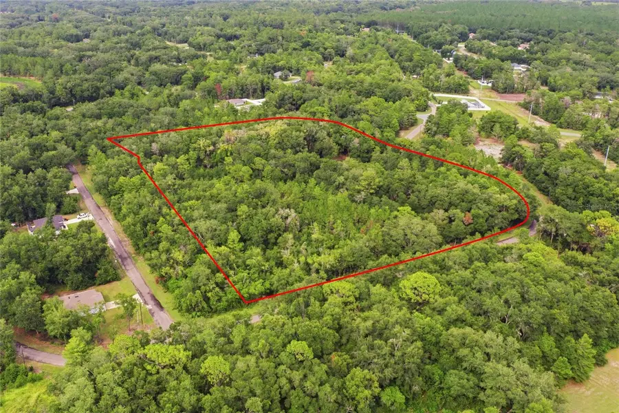 TBD Bay Court Pass, Ocklawaha, FL 32179 - #3