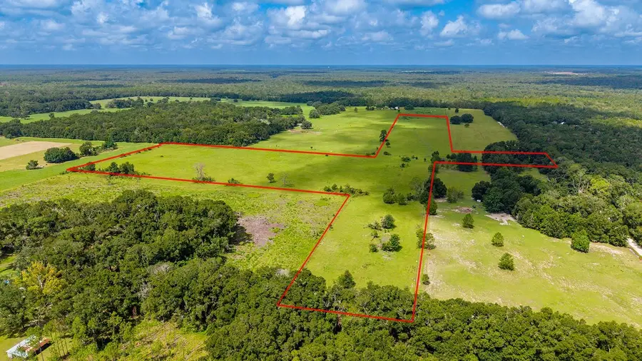 0000 NW 20th Street, Bell, FL 32619 - #2
