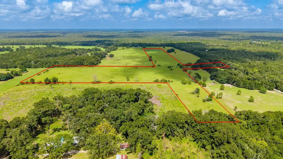 0000 NW 20th Street, Bell, FL 32619 - #3