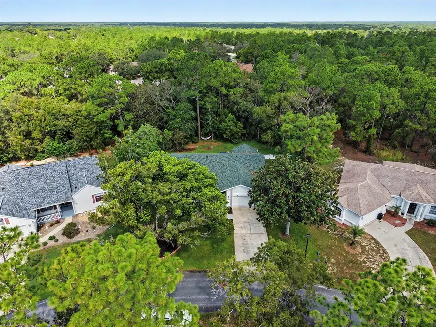 10 Colubrina Court, Homosassa, FL 34446 - #3
