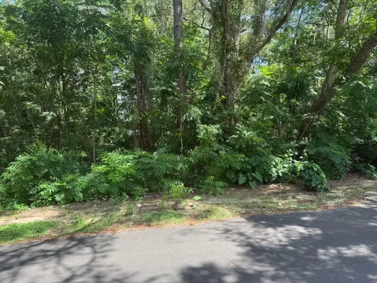 3090 SE 20th Avenue, Gainesville, FL 32641 - #1