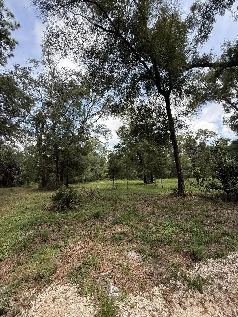 8431 NW 60 Avenue, Chiefland, FL 32626 - #3