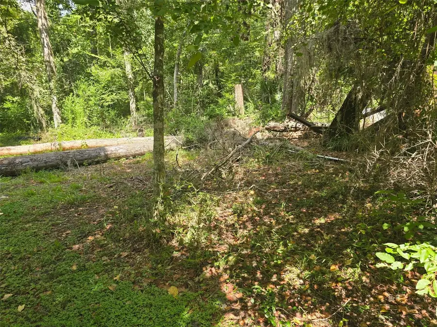 TBD NW Spring Hollow Boulevard, Lake City, FL 32055 - #3