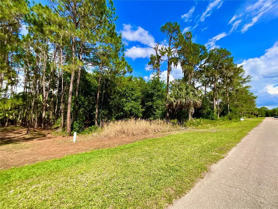 14029 SE 201st Ter, Hawthorne, FL 32640 - #3