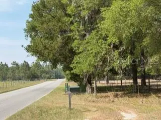 4760-A NW 55th Avenue, Bell, FL 32619 - #2