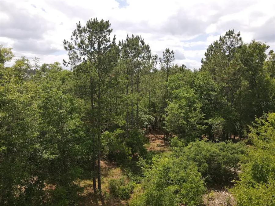 TBD N State Road 121 #2, Alachua, FL 32615 - #3