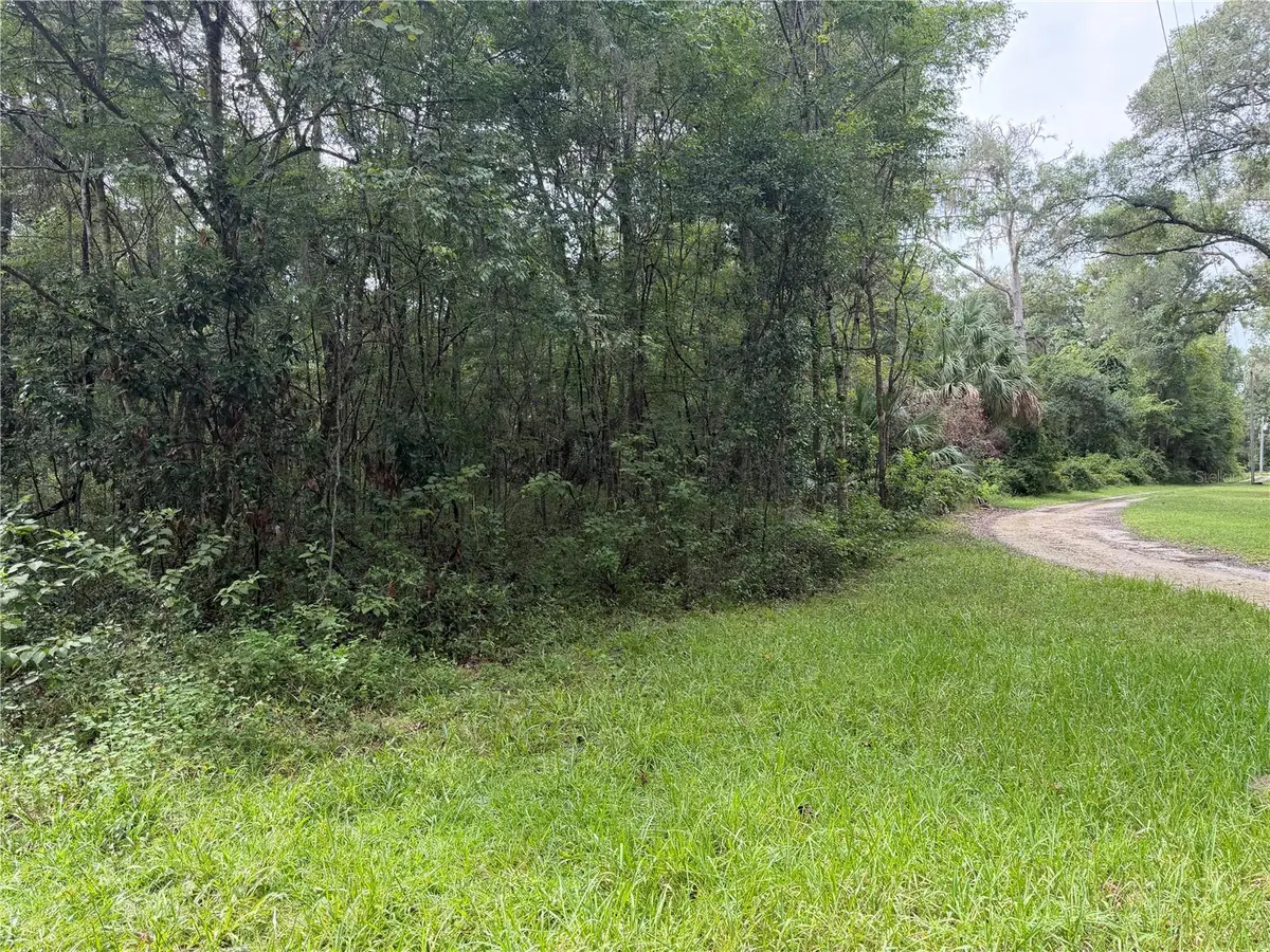 TBD SW 113th Avenue, Gainesville, FL 32608 - #1