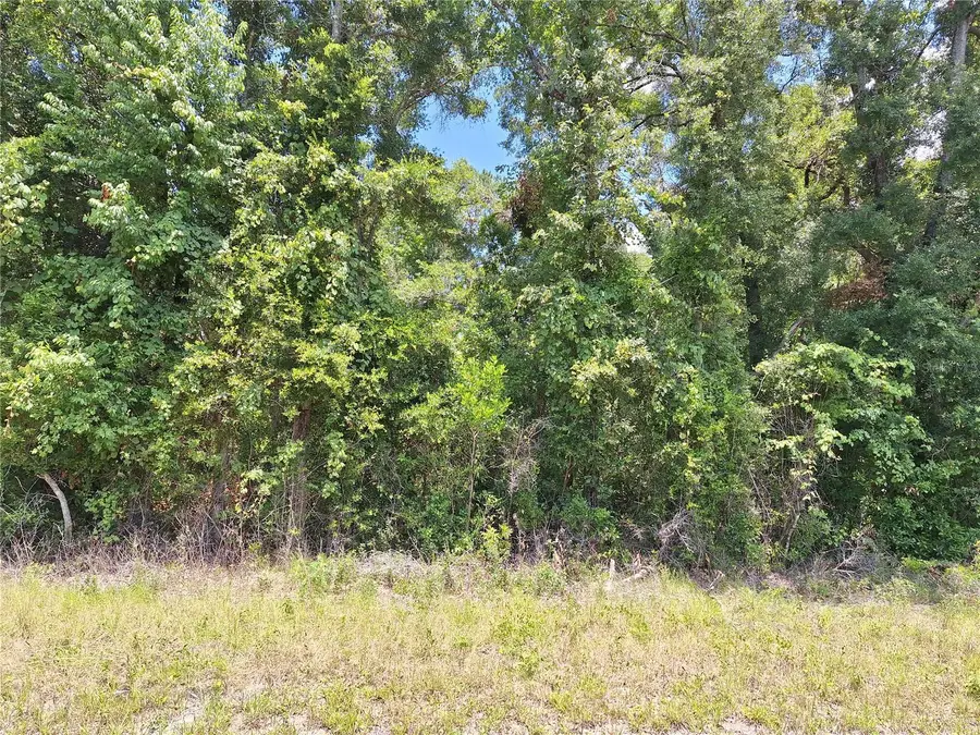 TBD N Hwy 19, Chiefland, FL 32626 - #3