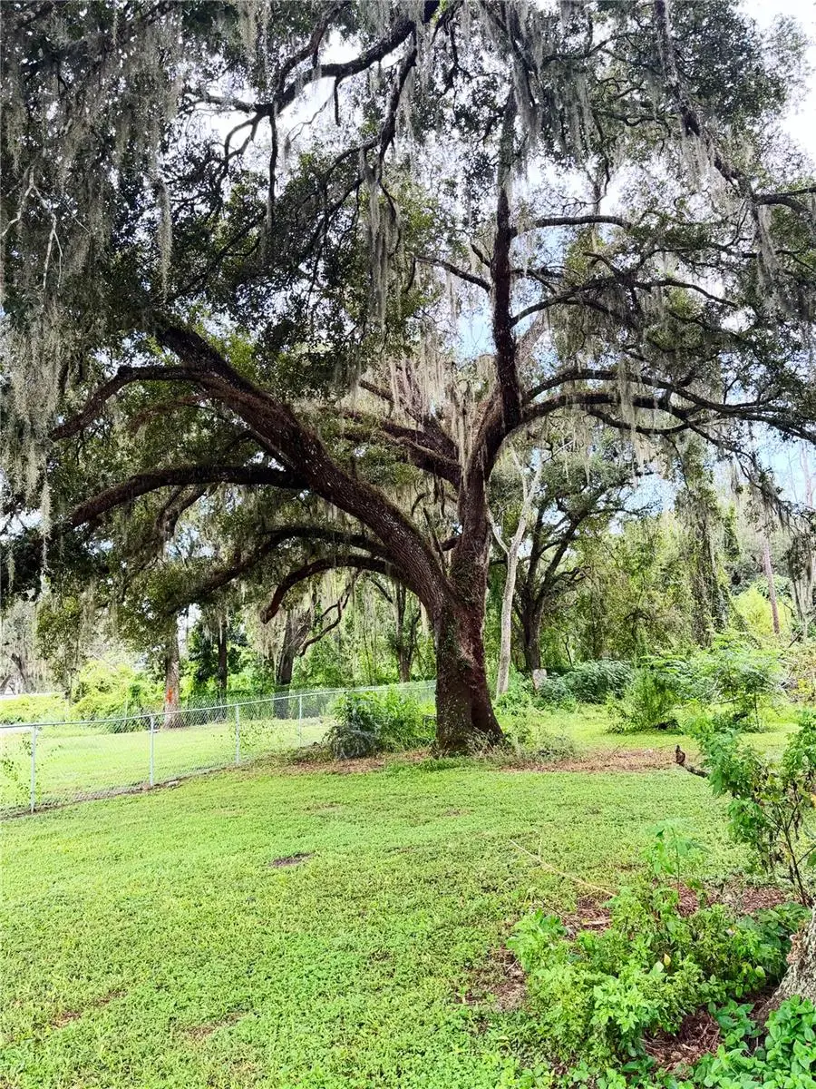 36910 Sunshine Road, Zephyrhills, FL 33541 - #3
