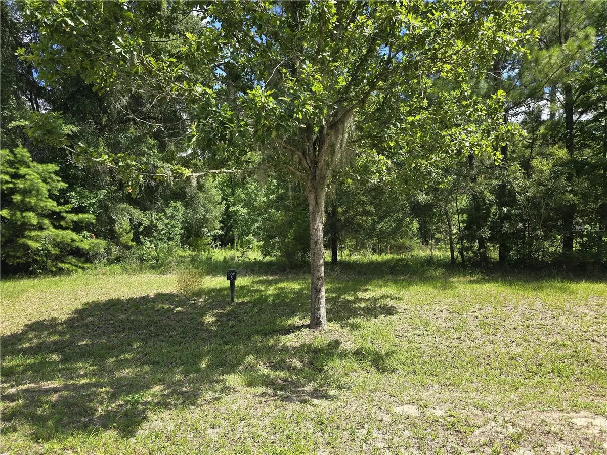 8911 NW 58th Lane, Gainesville, FL 32653 - #1