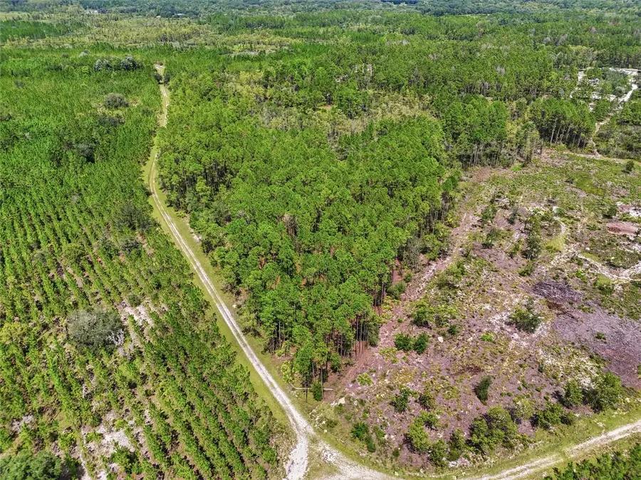 Se 51 Way, Trenton, FL 32693 - #2