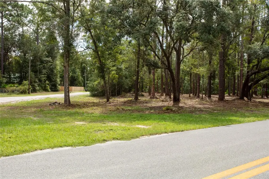 W Hillsborough Avenue, Florahome, FL 32140 - #2