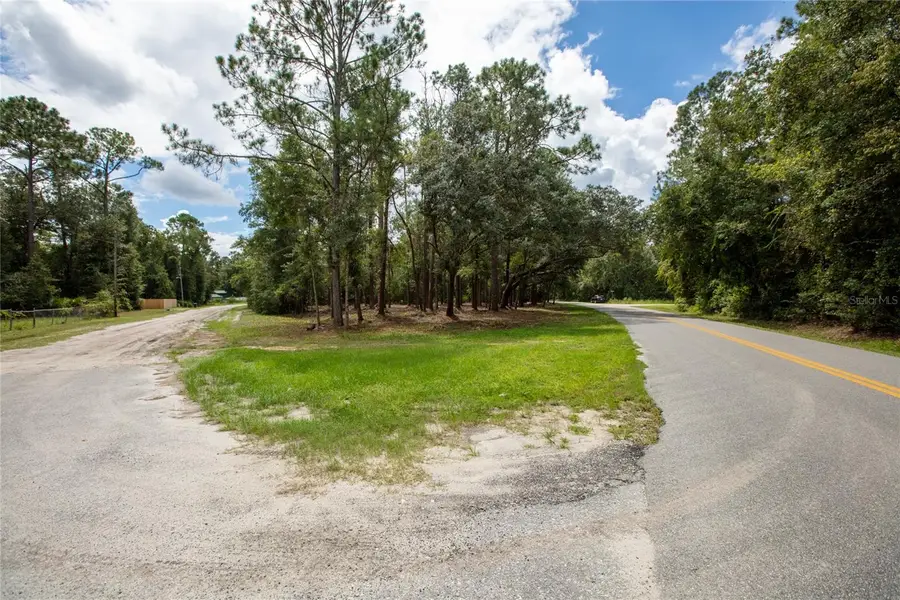 W Hillsborough Avenue, Florahome, FL 32140 - #3
