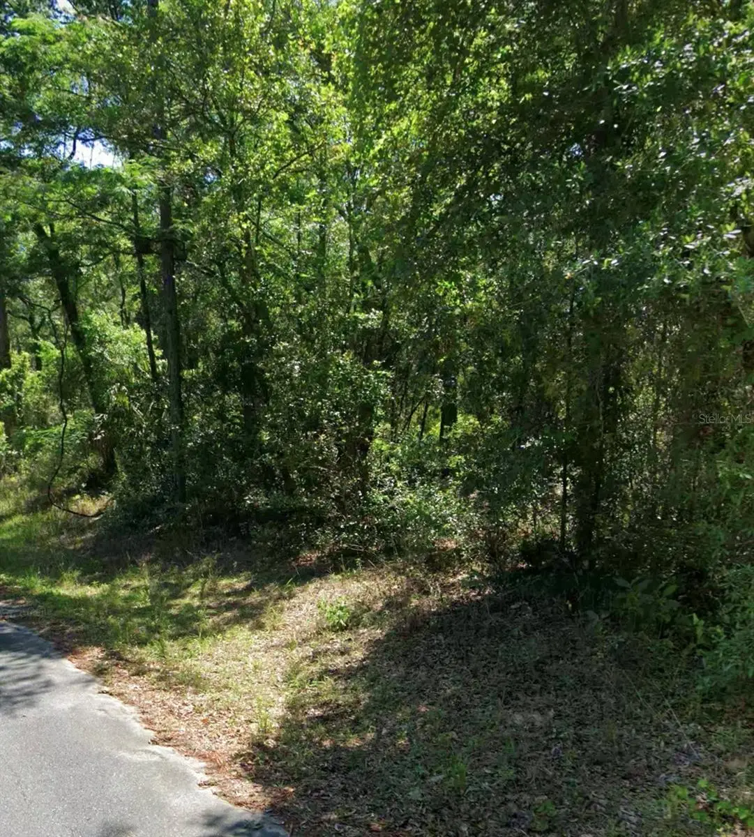 3676 E Walker Street, Inverness, FL 34453 - #1