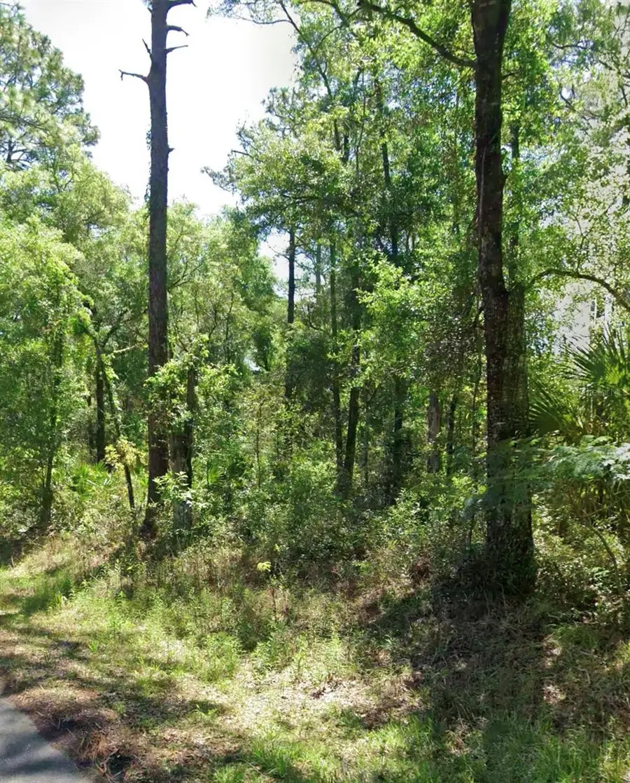 3676 E Walker Street, Inverness, FL 34453 - #2