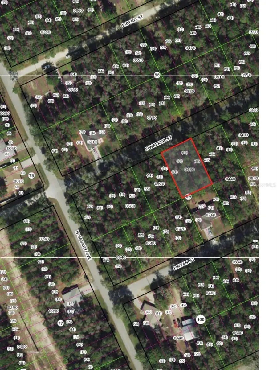 3676 E Walker Street, Inverness, FL 34453 - #3