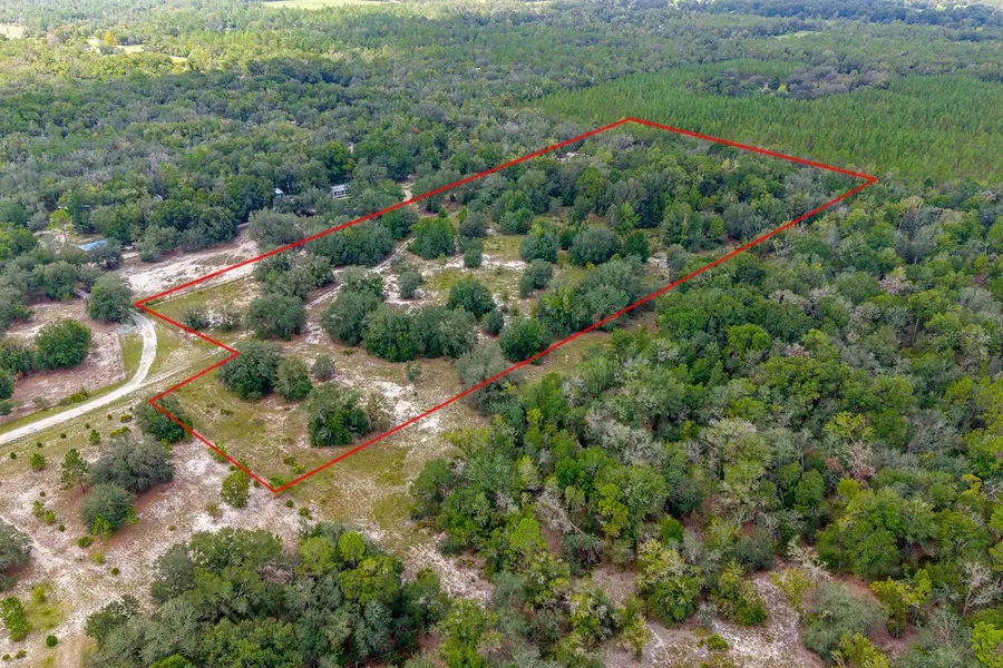 220 NE 108th Lane, Branford, FL 32008 - #2