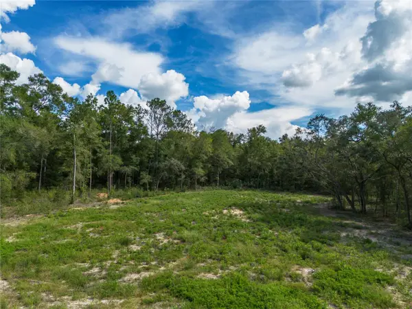 TBD NE 82nd Place, BRONSON, FL 32621