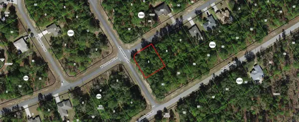 156 W Goldcoast Place, CITRUS SPRINGS, FL 34434