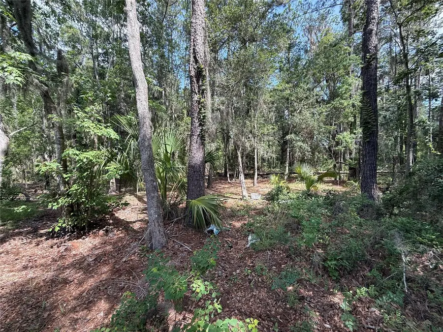 SW 38 Terrace, Gainesville, FL 32608 - #3