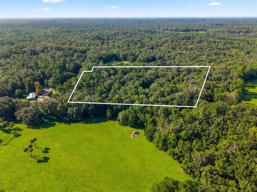 3426 SE 185th Avenue, Micanopy, FL 32667 - #2