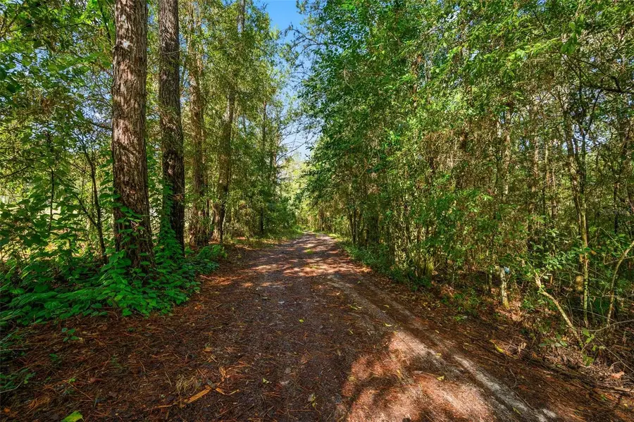 3426 SE 185th Avenue, Micanopy, FL 32667 - #3