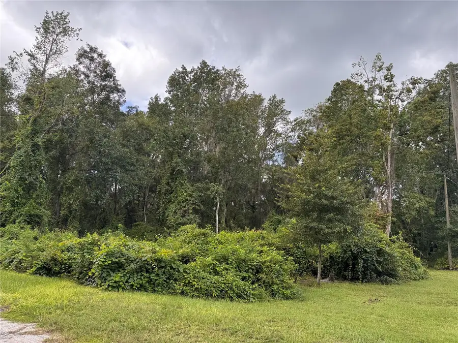 SE 4th Ave, Melrose, FL 32666 - #2