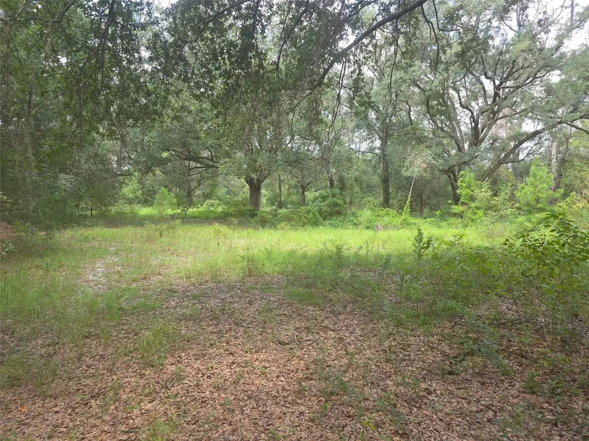 16604 NE 21st Street, Gainesville, FL 32609 - #1