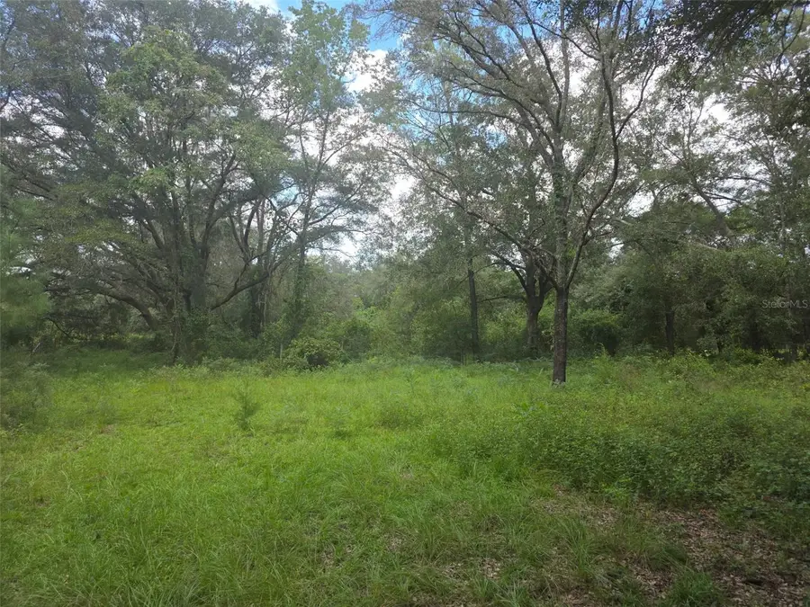 16604 NE 21st Street, Gainesville, FL 32609 - #3