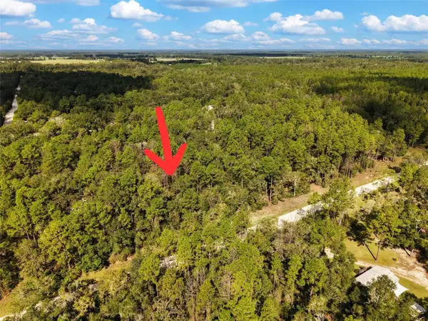 6339 NW 17th Court, BELL, FL 32619