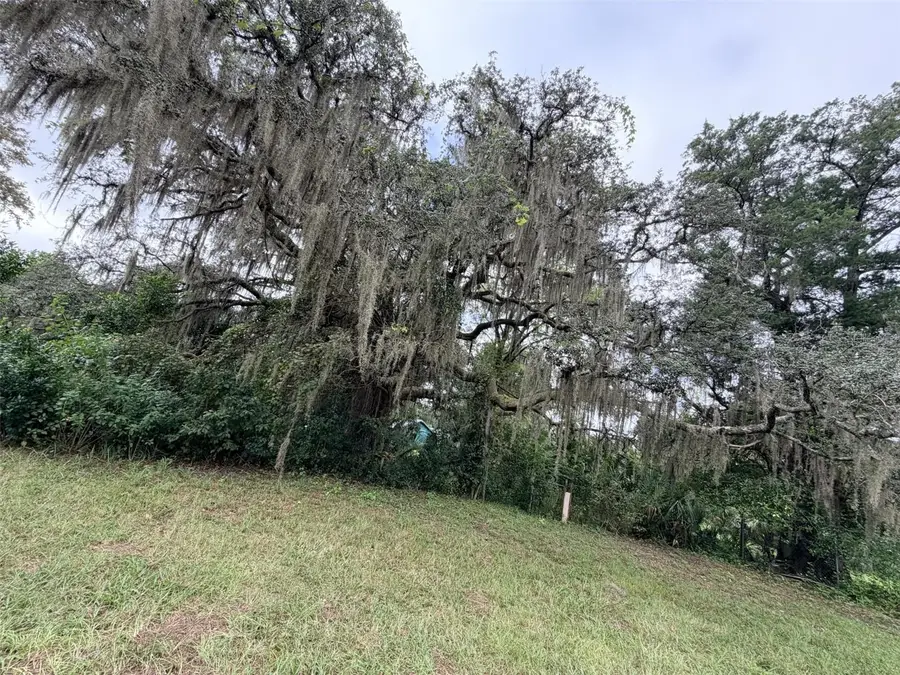 6690 NW 100th Street, Chiefland, FL 32626 - #3