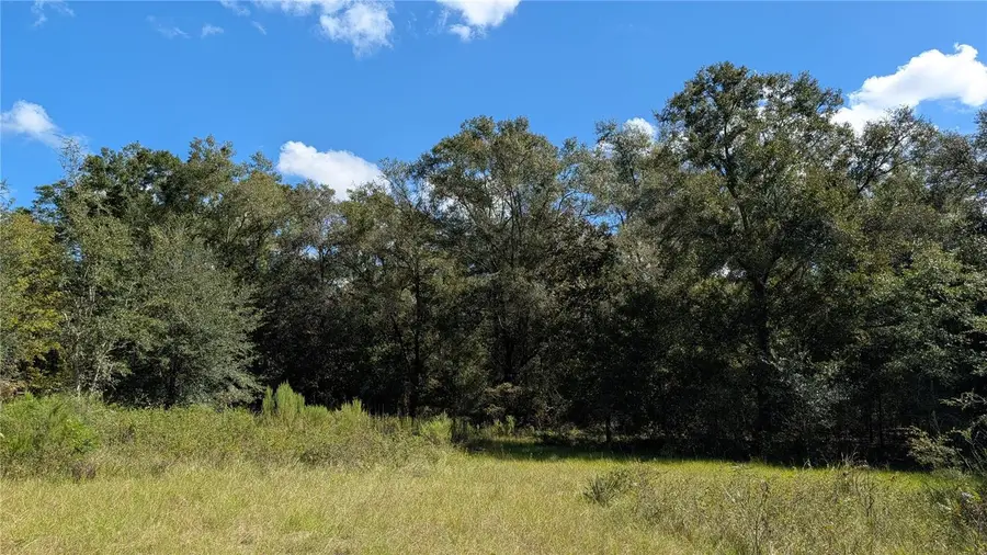 Lot 3 NE 48th Court, High Springs, FL 32643 - #3