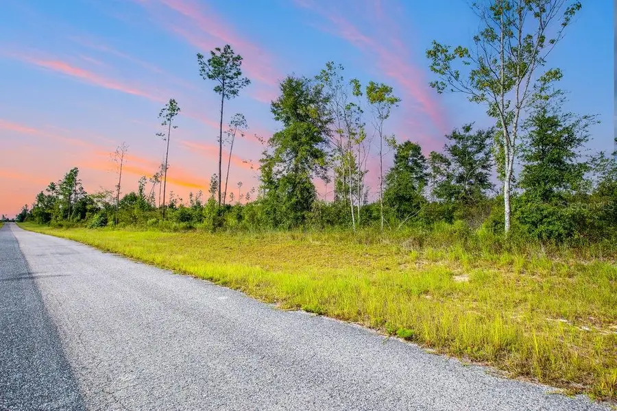 TBD 211th Court, Live Oak, FL 32060 - #3